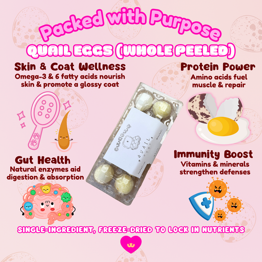 Benefits graphic for Owa Owa Freeze-Dried Whole Quail Eggs – four illustrated icons: 🍳 protein for muscle, 💖 omega-3 & 6 skin/coat wellness, 🌿 digestive enzymes, 🛡️ immune vitamins & minerals. Pastel Owa Owa kawaii style with sparkles, labeled ‘✨ Packed With Purpose ✨’ at the top.