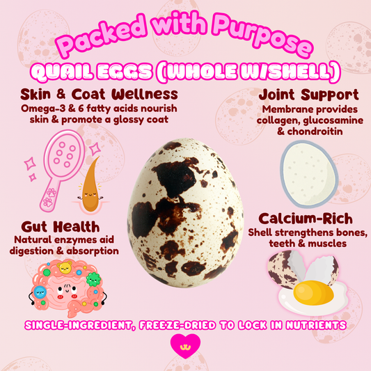 Benefits graphic for Owa Owa Freeze-Dried Whole Quail Eggs with Shell – four illustrated icons: 🦴 joint collagen support, 🥚 calcium-rich bones & teeth, 💖 omega & protein for skin/coat, 🌱 novel protein for sensitivities. Pastel Owa Owa kawaii style with sparkles, labeled ‘✨ Packed With Purpose ✨’ at the top.