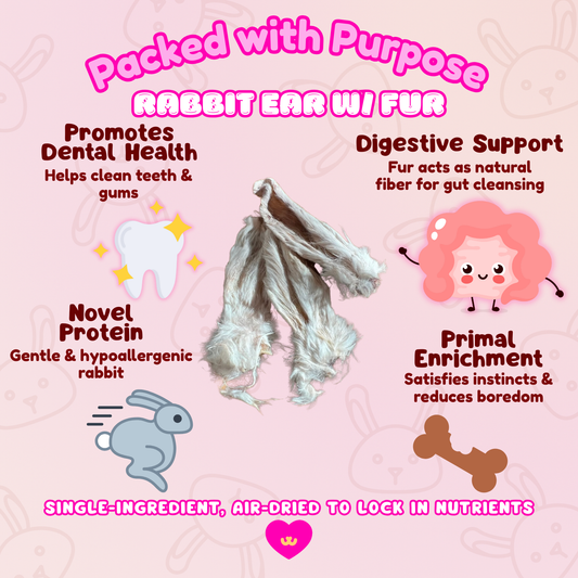 Infographic showing the benefits of Owa Owa Rabbit Ears with Fur – supports digestive health with natural fiber from fur, promotes dental hygiene by scraping plaque and tartar, gentle novel protein for sensitive dogs, and primal enrichment aligned with ancestral diets.