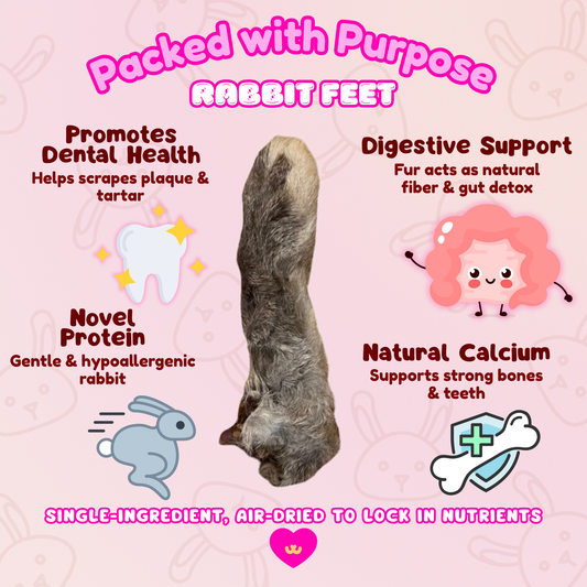Benefits of Owa Owa Rabbit Feet with Fur for dogs – supports digestion with natural fiber from fur, scrapes plaque and tartar for dental health, provides collagen for joint support, and offers novel rabbit protein for sensitive pups. Single-ingredient, primal enrichment chew.
