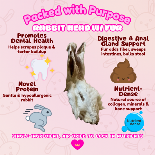 Benefits of Owa Owa Rabbit Head with Fur dog chew: scrapes plaque and tartar for dental health, gentle novel protein for sensitive dogs, fur supports digestion and anal gland health, nutrient-dense source of collagen and minerals, primal whole-prey enrichment.