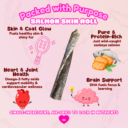 Benefits graphic for Owa Owa Salmon Skin Rolls – four illustrated icons showing: 🫀 heart & joint health (Omega-3 rich), 🧠 brain support (DHA for focus & learning), ✨ skin & coat glow (soft skin, shiny fur), 🐾 enrichment chew (rolled shape for crunch & engagement). Clean pastel Owa Owa kawaii style with soft outlines, cheerful icons, and playful text reading ‘✨ Packed With Purpose ✨’ at the top.