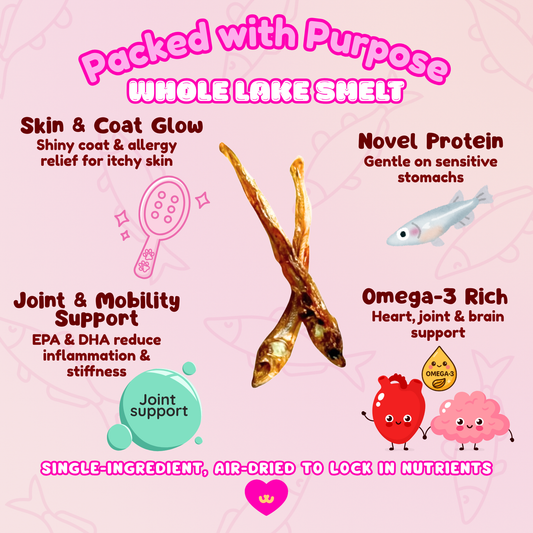 Owa Owa Whole Lake Smelt dog and cat treat benefits graphic with icons and text: Omega-3s for heart, brain & mobility; Joint Support with EPA & DHA to reduce inflammation; Skin & Coat health for shiny coat & allergy relief; Sensitive-Friendly, gentle single-ingredient option.