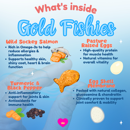 Owa Owa Gold Fishies ingredient benefits graphic showing wild sockeye salmon for omega-3s to reduce allergies and inflammation, pasture-raised eggs for protein, eggshell membrane for joint health, and turmeric with black pepper for anti-inflammatory support.
