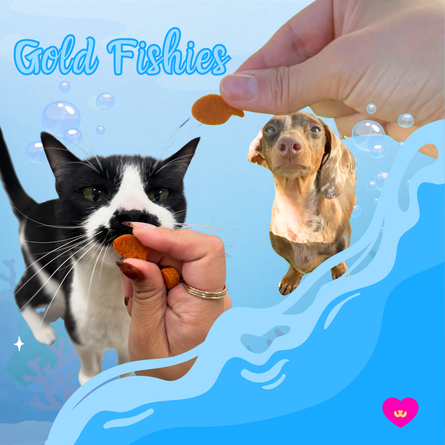 Owa Owa Gold Fishies lifestyle image with a cat sniffing goldfish-shaped treat and a dachshund looking at a treat being held. Healthy dog and cat treats made with wild sockeye salmon, eggs, eggshell membrane, turmeric, and black pepper.