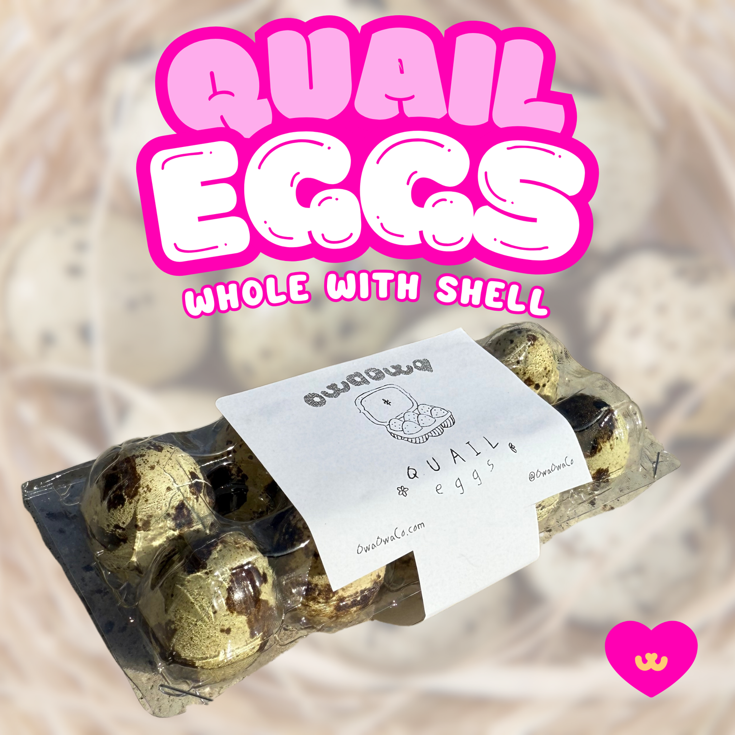 Owa Owa Freeze-Dried Whole Quail Eggs with Shell for dogs & cats – whole quail eggs shown with shell intact in a pastel Owa Owa kawaii-style setting. Soft sparkles, warm tones, and clean design highlight this calcium-rich, functional superfood treat.