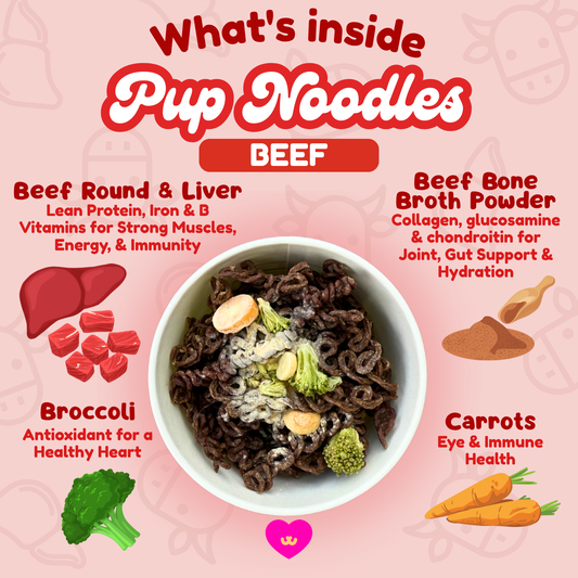 Benefits graphic for Owa Owa Beef Pup Noodles – four illustrated icons: 🥩 beef protein, 🦴 bone broth joint support, ⚡ liver vitality boost, 🍜 enrichment fun. Pastel Owa Owa kawaii style with sparkles, labeled ‘✨ Packed With Purpose ✨’ at the top.