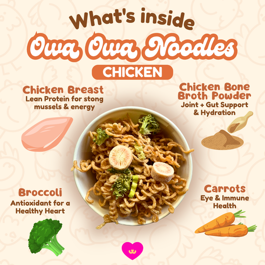 Owa Owa Noodles – Chicken