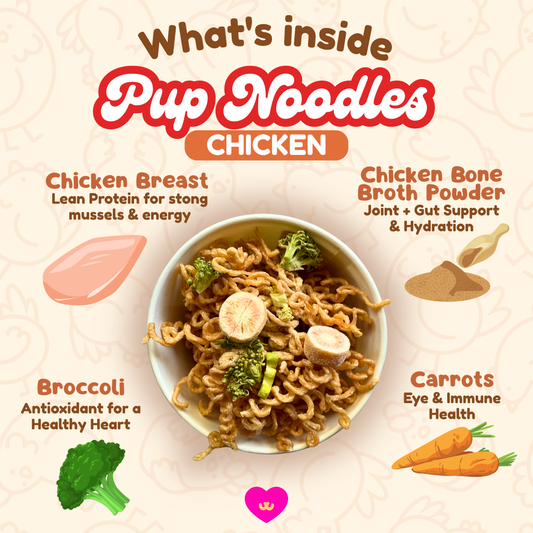 Owa Owa Pup Noodles Chicken ingredient benefits graphic with kawaii icons for chicken breast, chicken bone broth powder, broccoli, and carrots, highlighting protein, joint support, antioxidants, and eye health.