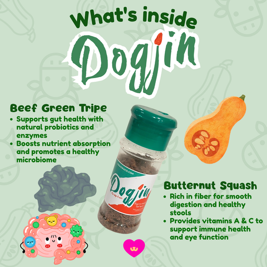 Owa Owa Dogjin functional dog food topper made with beef green tripe and butternut squash. Rich in natural probiotics and digestive enzymes to support gut health, high fiber for tummy balance, and nutrient-dense ingredients that promote overall wellness and vitality for dogs.