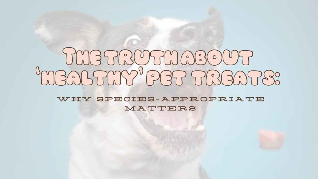 The Truth About 'Healthy' Pet Treats: Why Species-Appropriate Matters