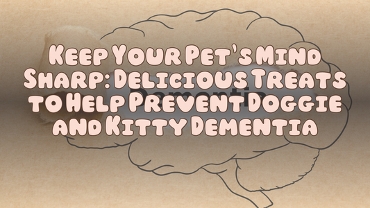 Keep Your Pet’s Mind Sharp: Delicious Treats to Help Prevent Doggie & Kitty Dementia