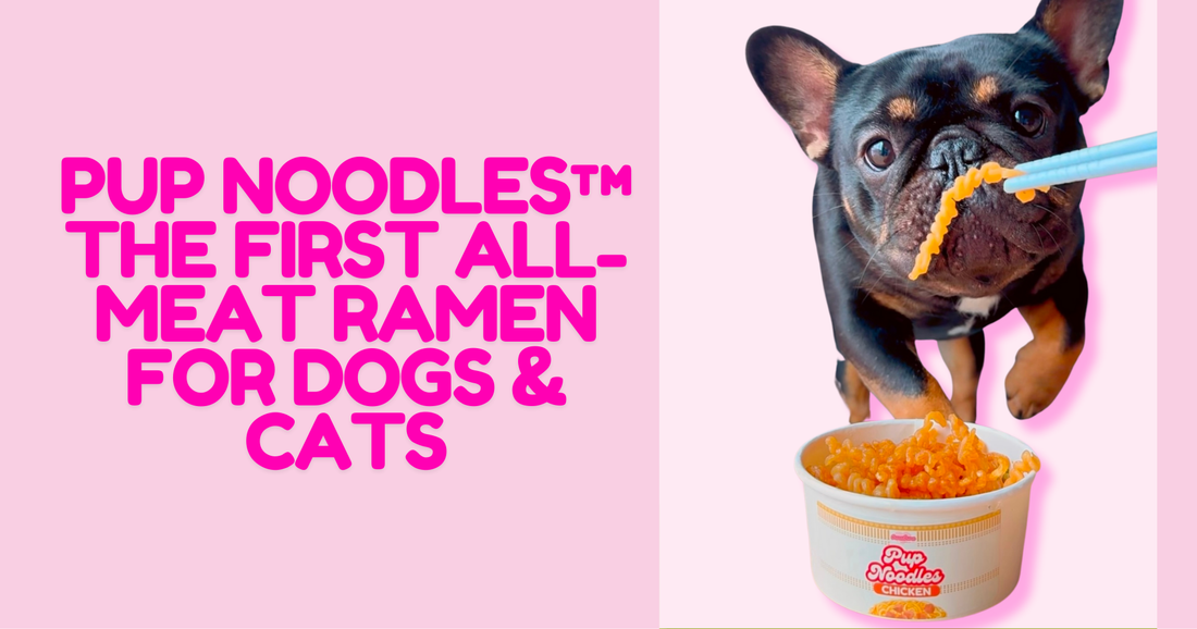 Pup Noodles™: The First All-Meat Ramen for Dogs & Cats by Owa Owa