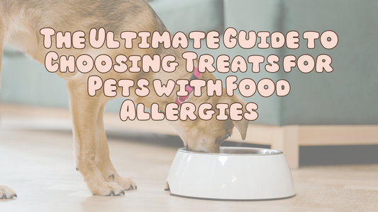 The Ultimate Guide to Choosing Treats for Pets with Food Allergies