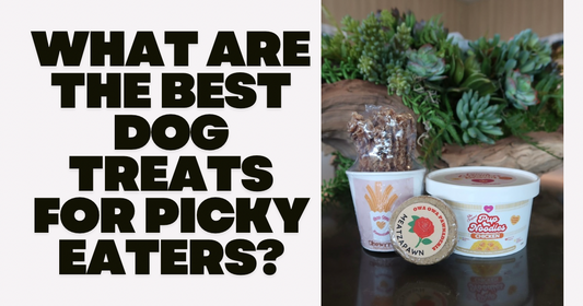 What Are the Best Dog Treats for Picky Eaters?