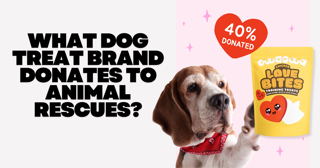 What Dog Treat Brand Donates to Animal Rescues?