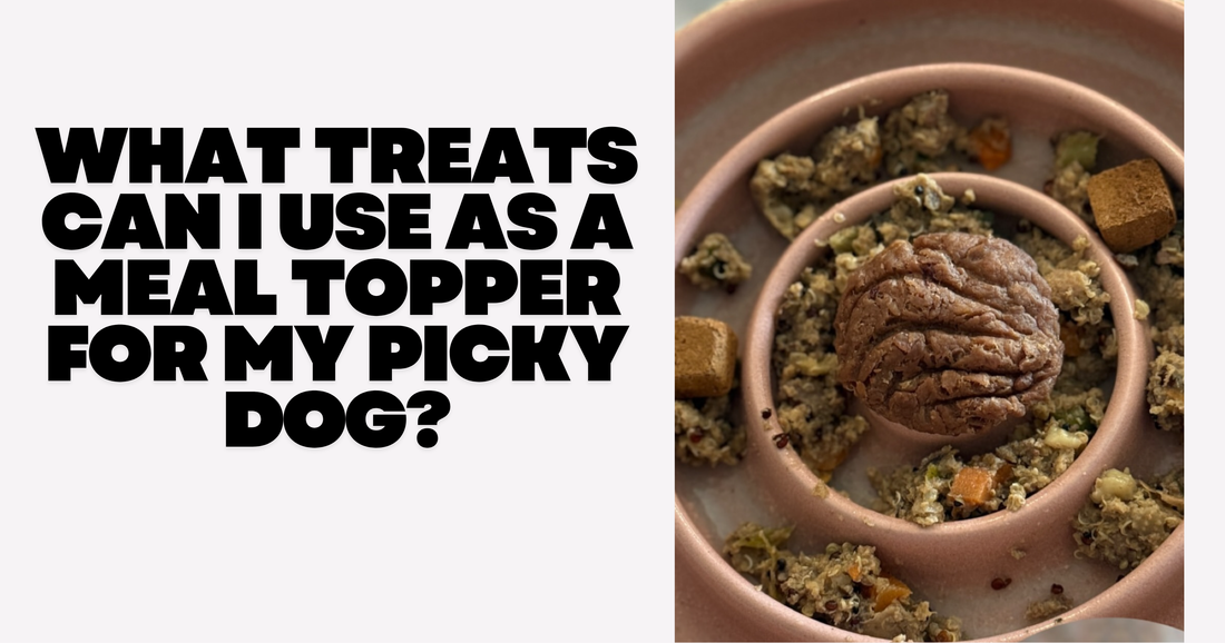 What Treats Can I Use as a Meal Topper for My Picky Dog?