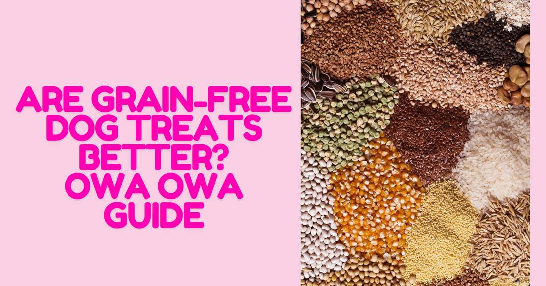 Are Grain-Free Dog Treats Better? | Owa Owa Guide