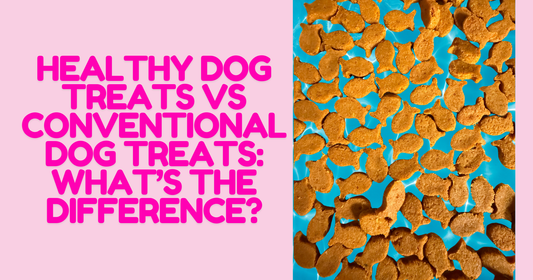 Healthy Dog Treats vs Conventional Dog Treats: What’s the Difference?