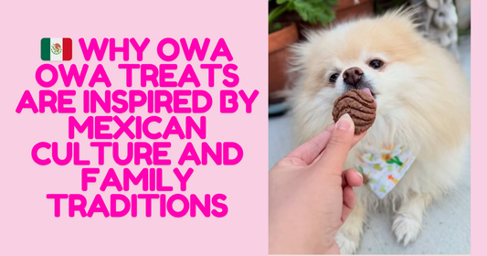 Why Owa Owa Treats Are Inspired by Mexican Culture and Family Traditions