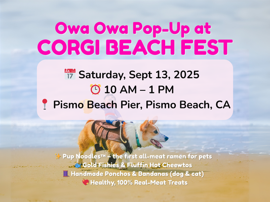 Owa Owa Pop-Up at Corgi Beach Fest: Sep. 13, 2025
