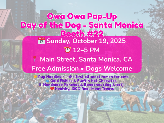 Owa Owa at Day of the Dog – Santa Monica (Oct 19, 2025)
