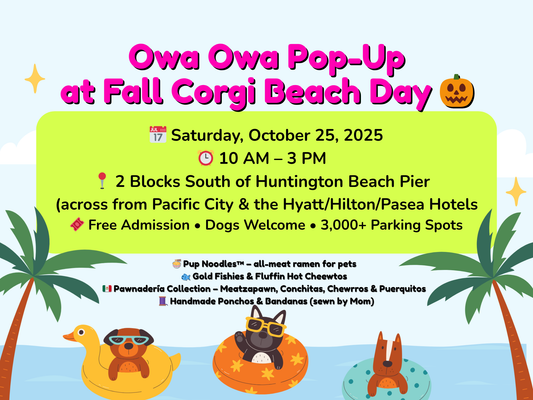 Owa Owa at Fall Corgi Beach Day – HOWL-O-WEEN (Oct 25, 2025)