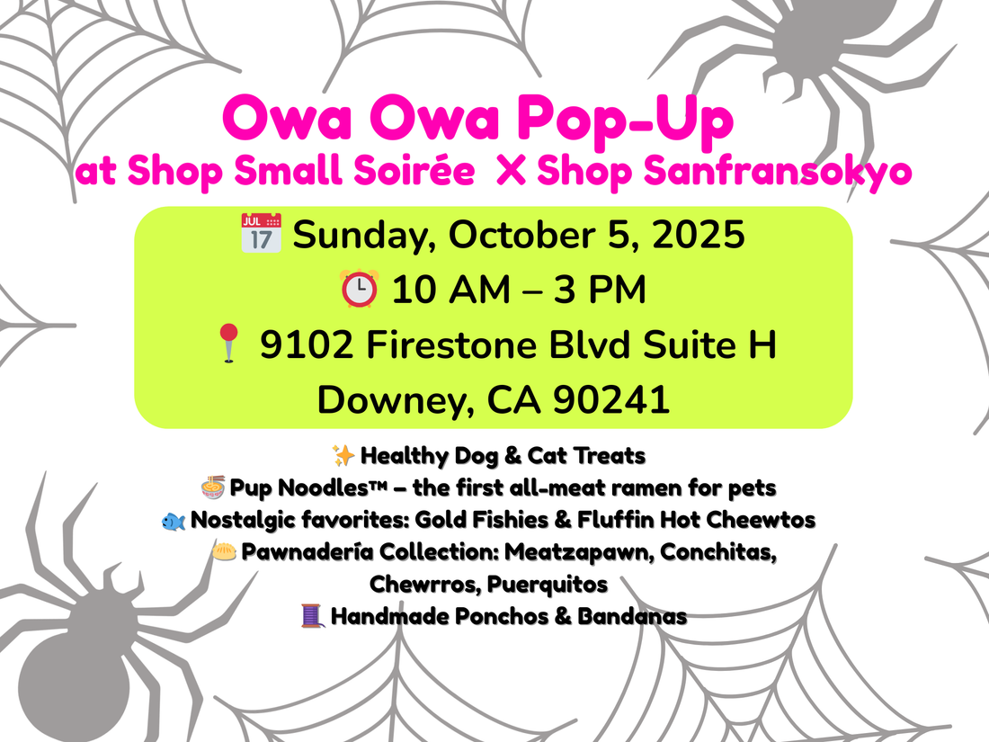 Owa Owa at Shop Small Soirée X Shop Sanfransokyo – October 5, 2025