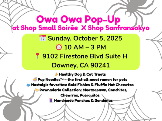 Owa Owa at Shop Small Soirée X Shop Sanfransokyo – October 5, 2025
