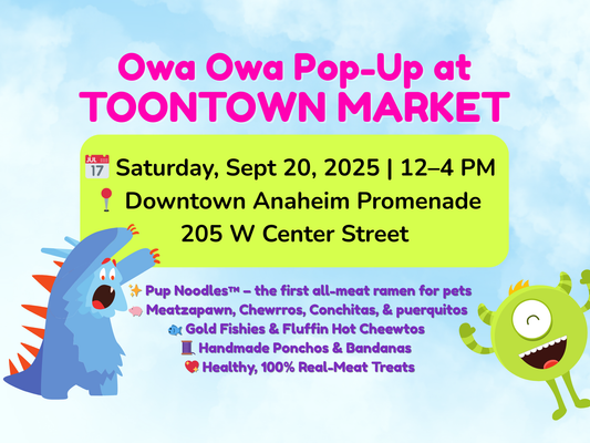 Owa Owa Pop-Up at Toontown Market: Sep 20, 2025