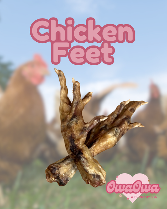 Dehydrated chicken feet chew for dogs