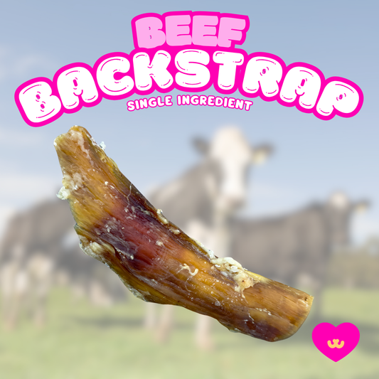 Owa Owa Beef Backstrap dog chew single-ingredient beef treat that supports dental health, joint health, and provides long-lasting enrichment.