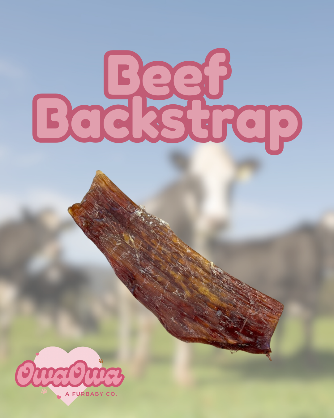 Beef backstrap for dogs