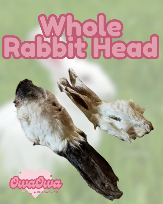 Rabbit head for dogs