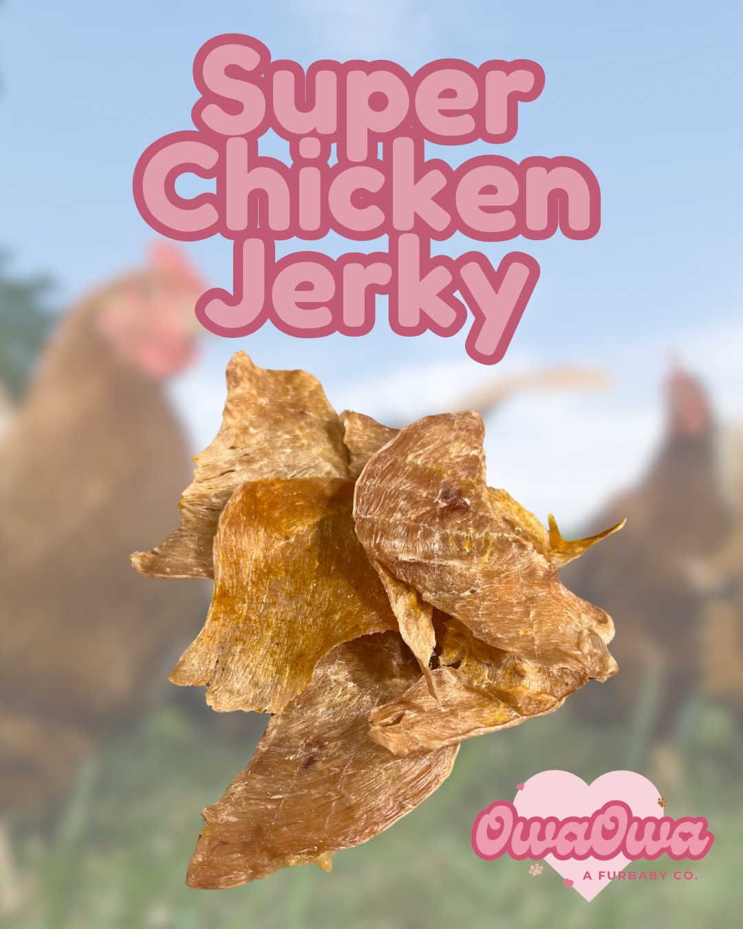 Chicken jerky for dogs