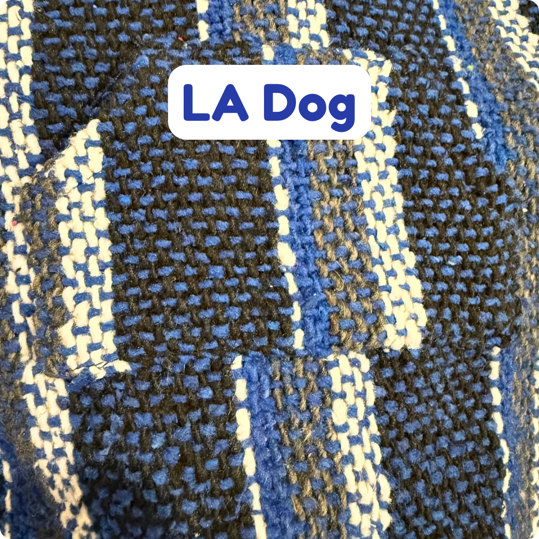 LA Dog poncho sweater 