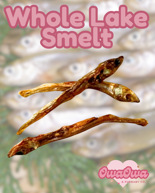 Whole lake smelt for dogs and cats