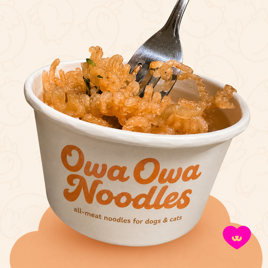 Owa Owa Noodles- Chicken
