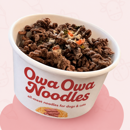 Owa Owa Noodles- Beef