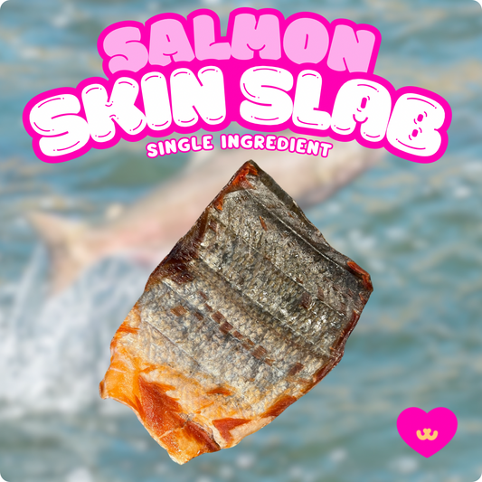 Owa Owa Salmon Skin slab – natural, single-ingredient dog and cat chews made from wild-caught salmon skin, rich in omega-3 fatty acids for healthy skin, coat, and joints