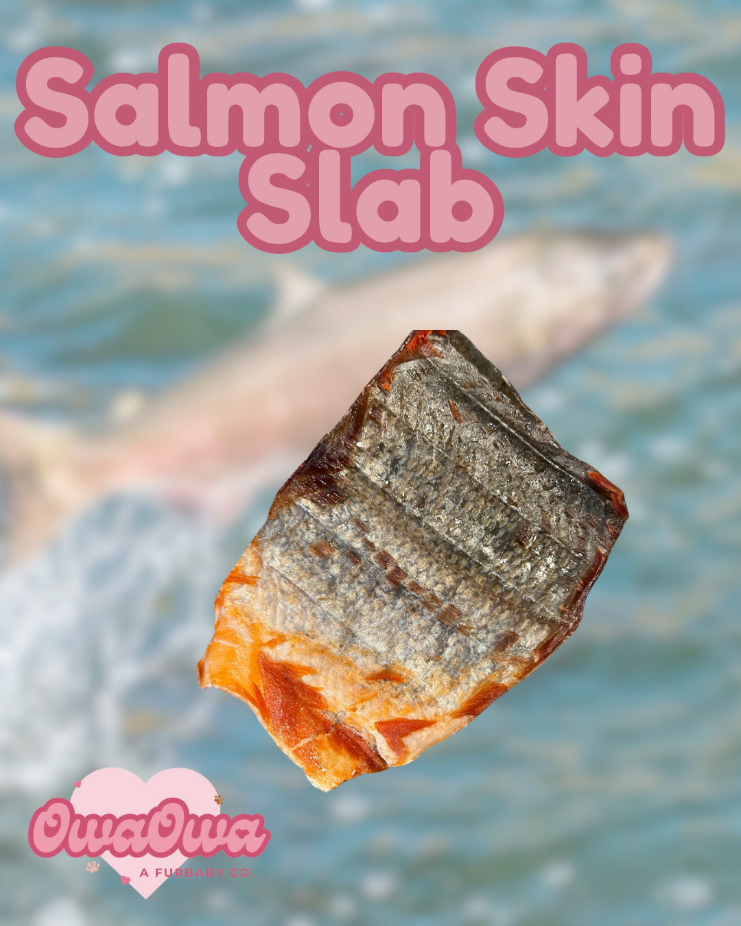 Anti inflammatory salmon skin for dogs 