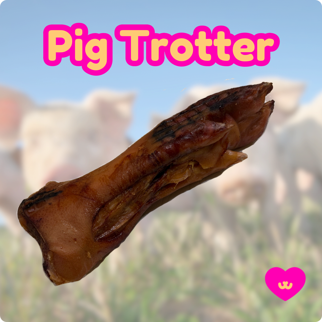 Pig Trotter