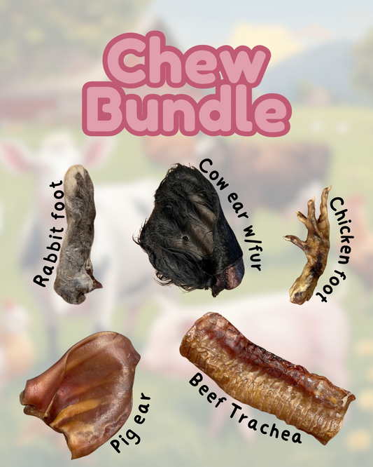 A variation or chews for dogs