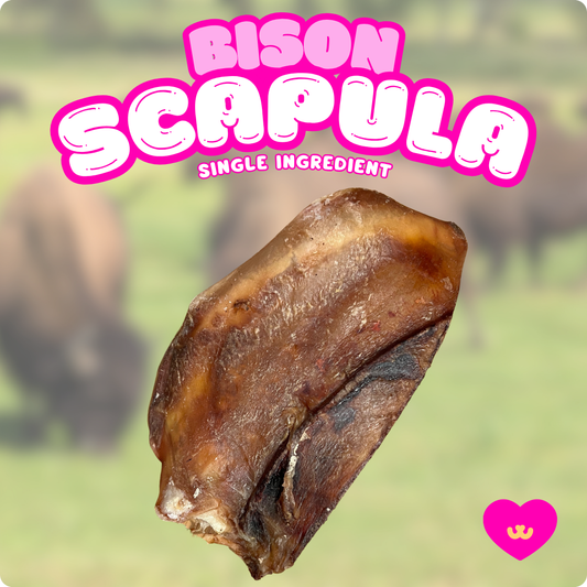 Owa Owa Bison Scapula single-ingredient dog chew – air-dried cartilage chew made from pasture-raised bison. Durable rawhide-free chew that supports joint mobility, dental hygiene, and provides primal enrichment for medium to large dogs.