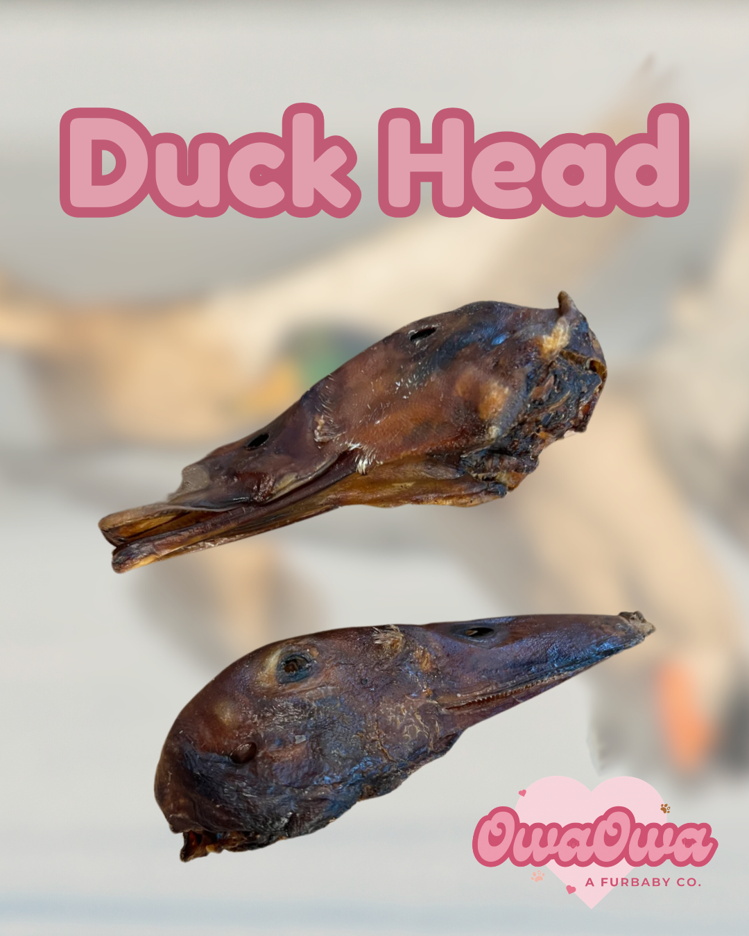 Duck heads for dogs