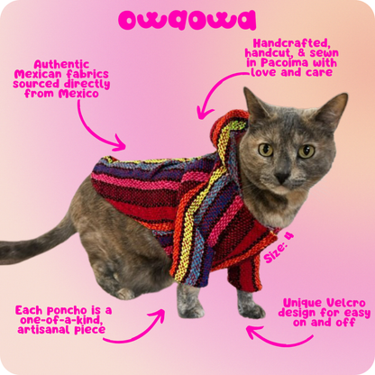 Arcoíris Dog Poncho