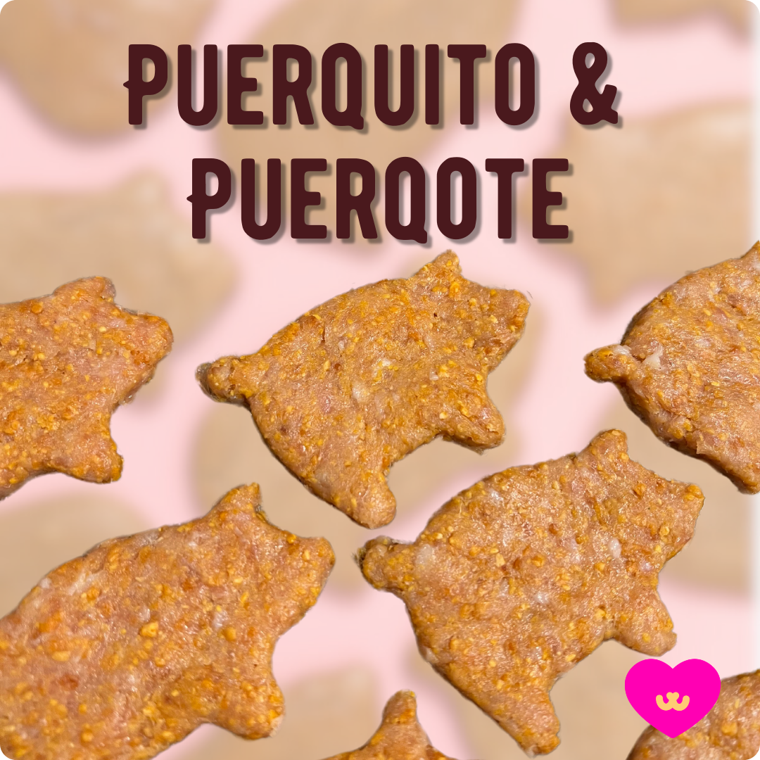 Pig shaped dog treats