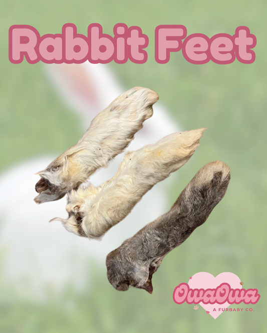 Rabbit feet for dogs