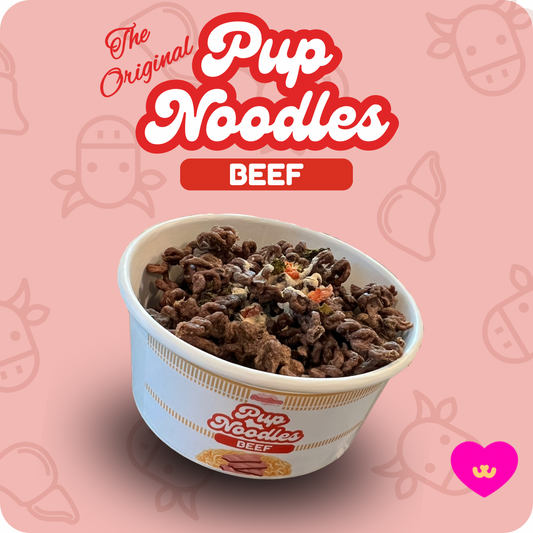 Beef ramen noodles for dogs, Owa Owa Pup Noodles