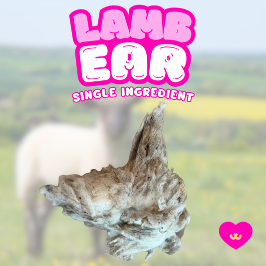 Owa Owa Lamb Ear with Wool dog chew – natural single-ingredient treat with ear and wool visible, highlighting its dental, digestive, and joint health benefits for dogs.